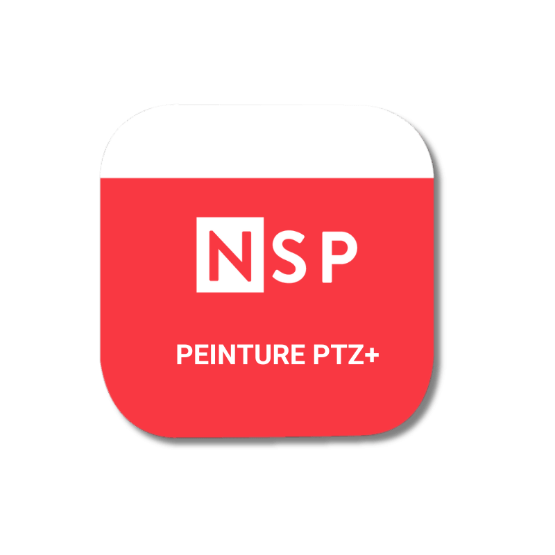 NSP-PEINTUREPTZ+